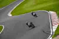 Middle Group Black Bikes